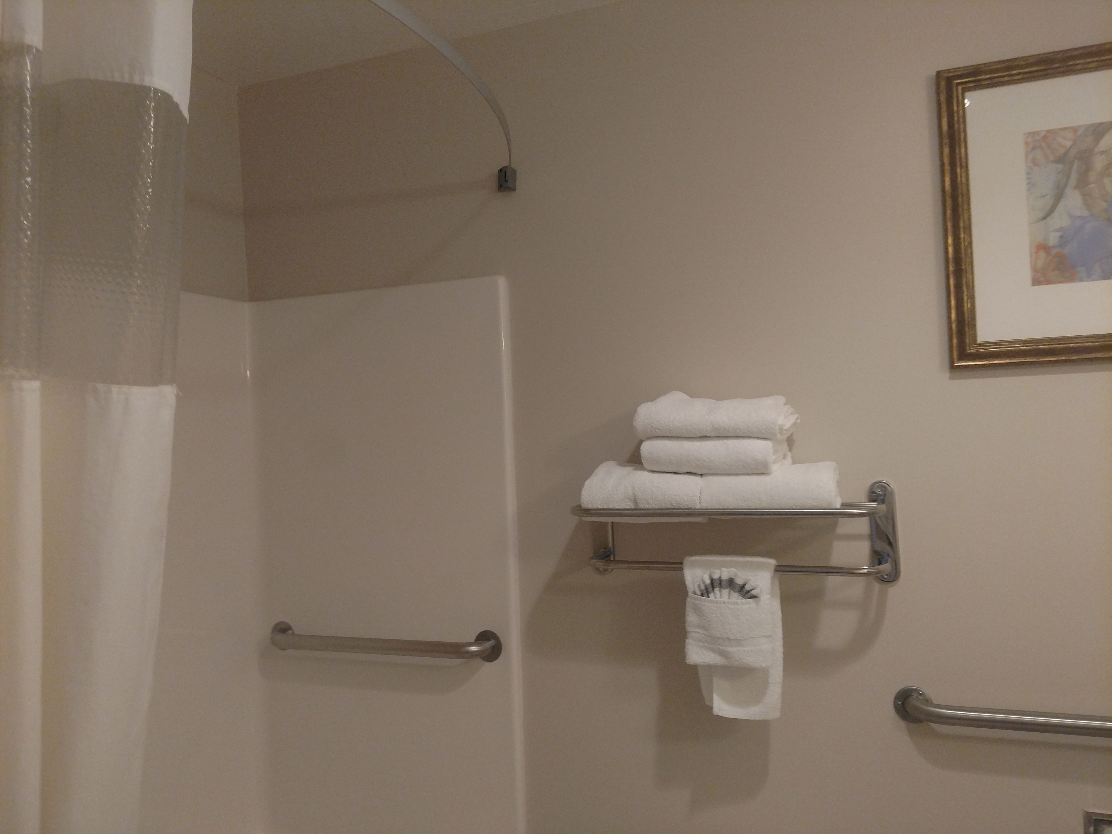 A bathroom with a shower curtain, a towel rack with folded towels, a handrail, and a framed picture on the wall.