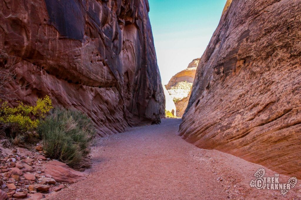 A narrow canyon path flanked by red rock walls.