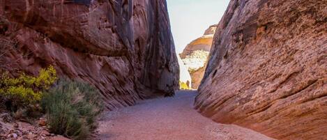 A narrow canyon path flanked by red rock walls.