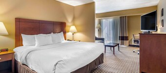 Comfort Inn & Suites Raphine - Lexington near I-81 and I-64