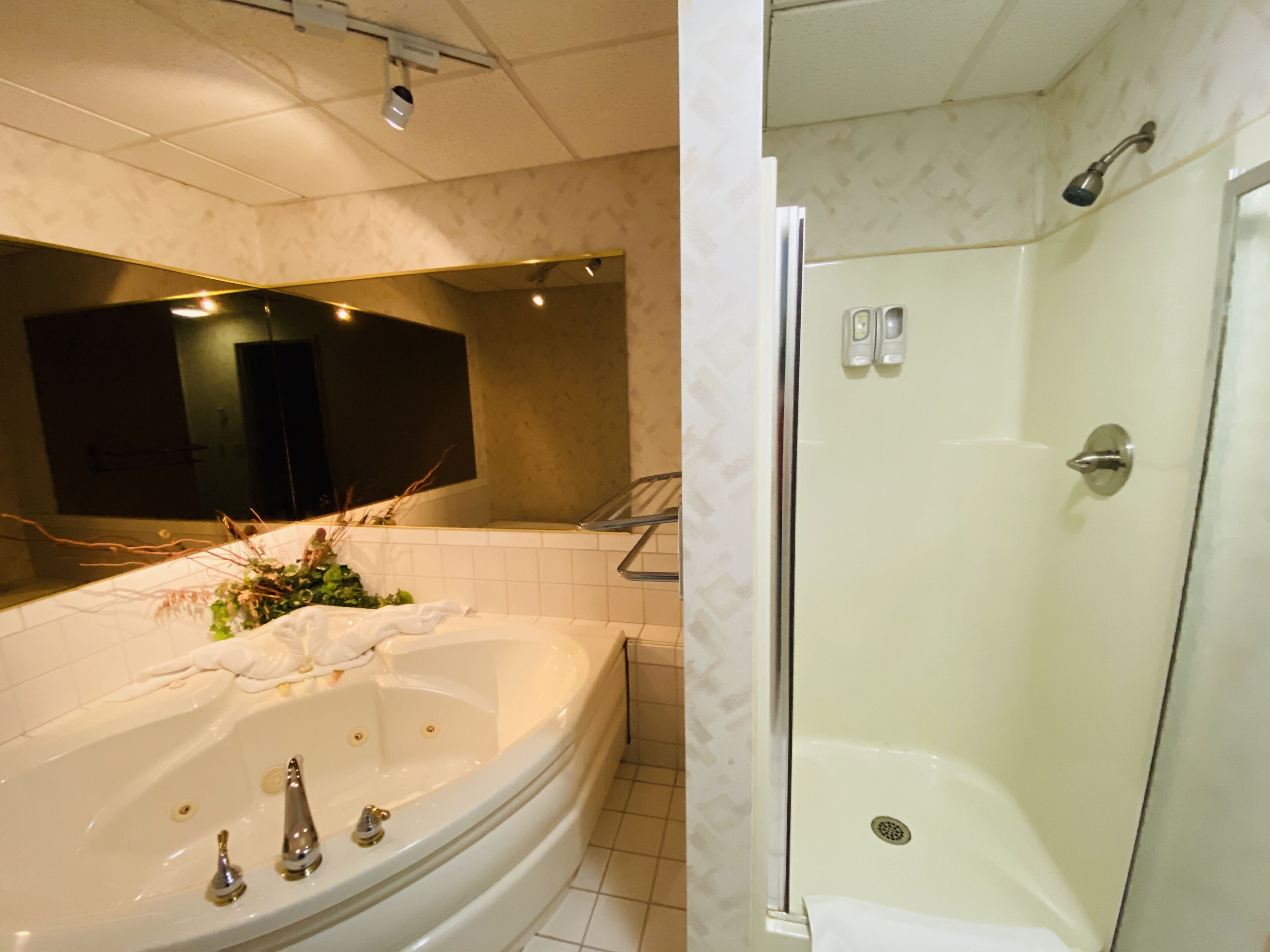 A modern bathroom with a large bathtub, a glass-enclosed shower, and a mirror above the bathtub.