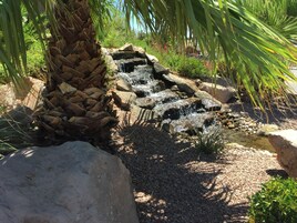 Un jardín rocoso con un pequeño elemento acuático, rodeado de palmeras y otra vegetación.
