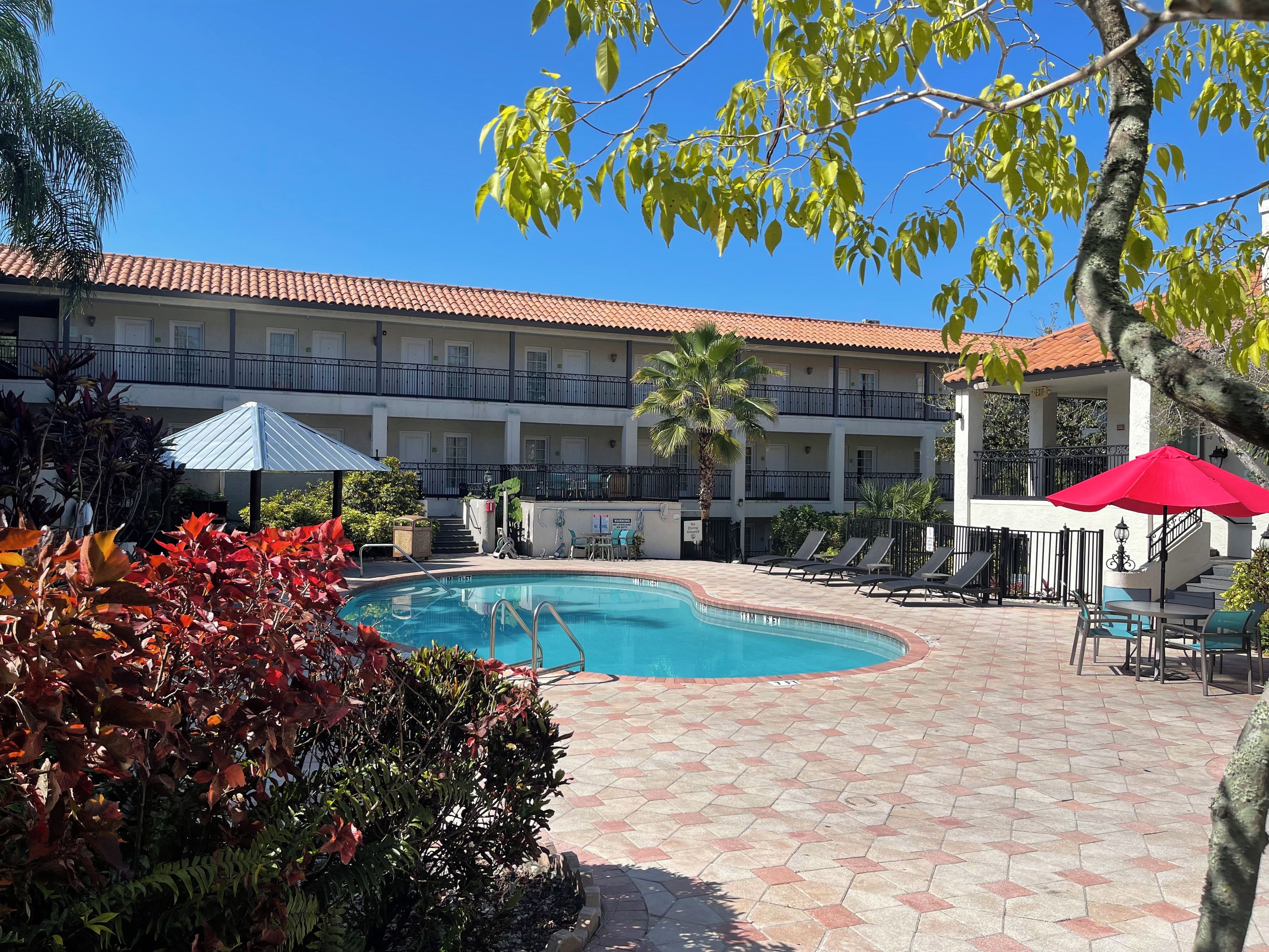 Foto - Red Roof PLUS+ & Suites Tampa - Busch Gardens