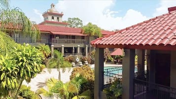 Outdoor pool, sun loungers