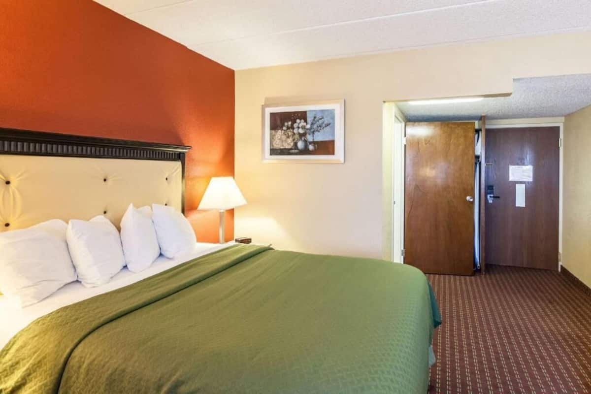 Une chambre d’hôtel avec un lit, une lampe, un tableau encadré au mur et une porte.