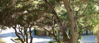 Hidden Valley Inn
