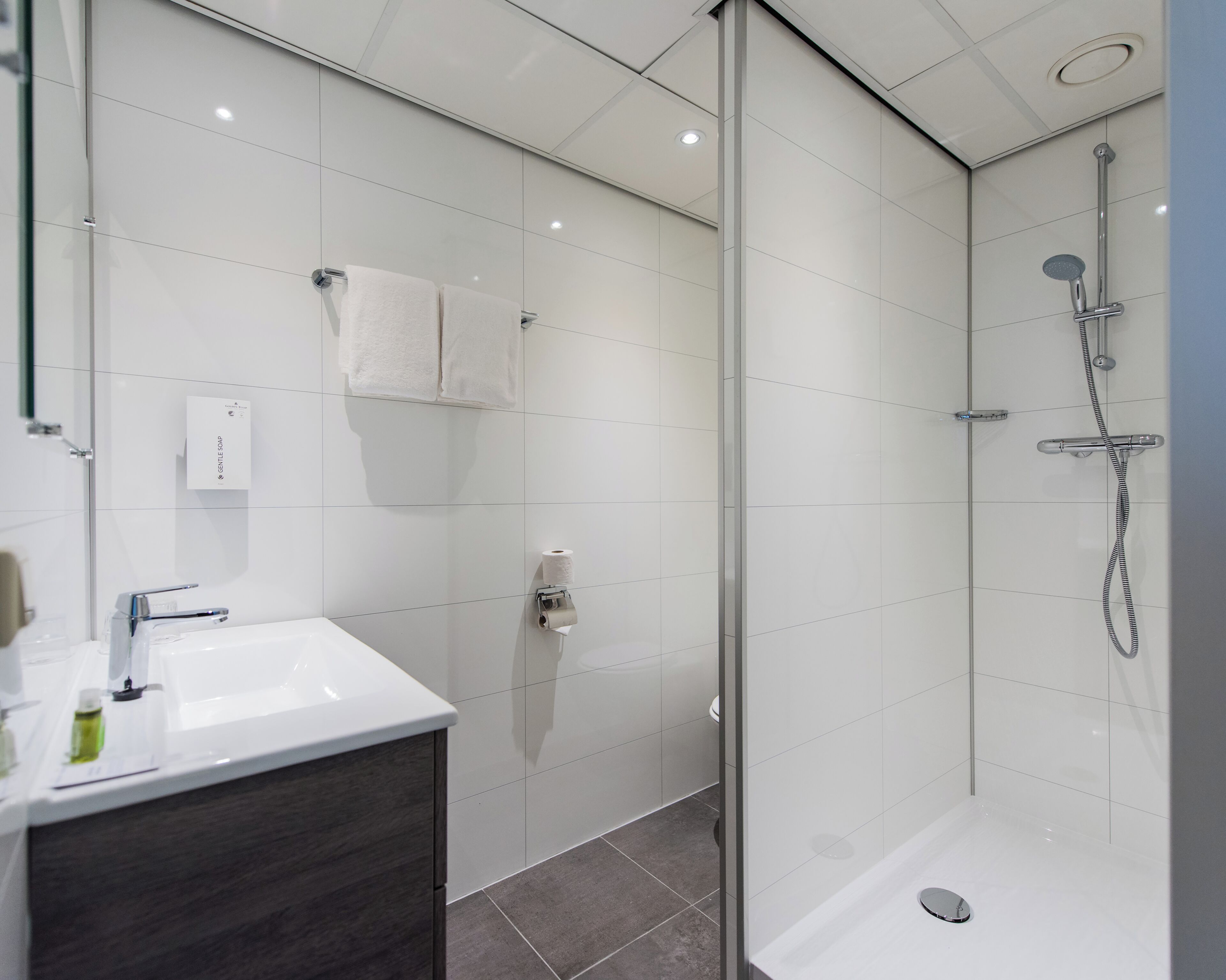 standard room | bathroom | shower, hydromassage showerhead, eco-friendly toiletries, hair dryer