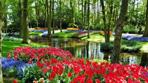 Un jardín con un estanque, rodeado de árboles y varios macizos de flores.