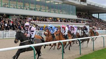 A horse race with jockeys on horses, a crowd of spectators, and a grandstand.
