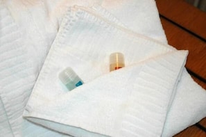 淋浴设施、吹风机、毛巾