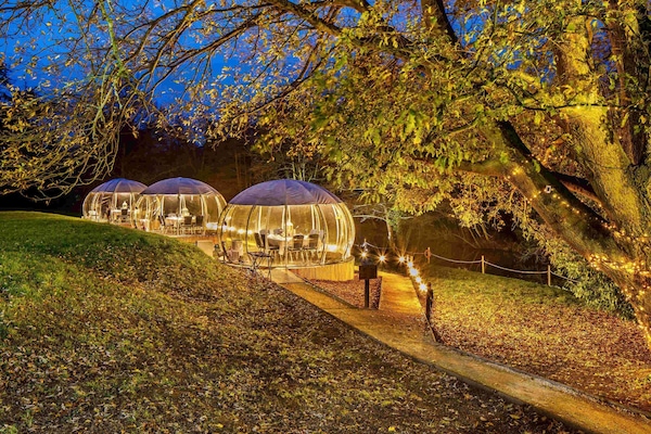 Serviço de café da manhã, culinária britânica, vistas para o jardim