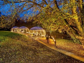 供应早餐、午餐和晚餐，英国菜，花园景观