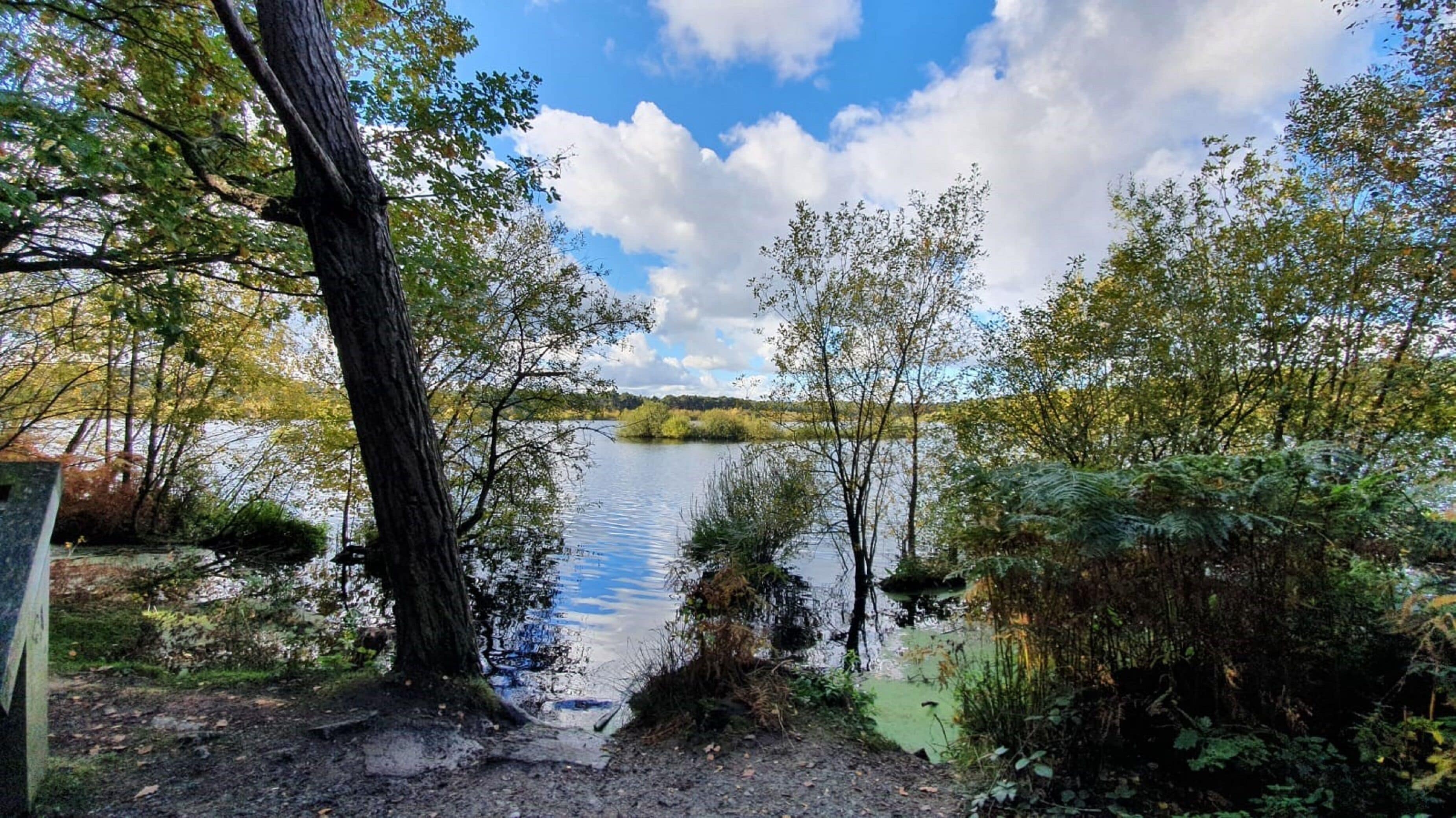 A natural landscape with a lake, trees, and a clear sky.