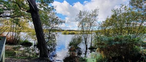 A natural landscape with a lake, trees, and a clear sky.