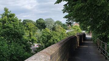 A stone pathway leading through a lush green area with a stone wall on one side and a metal railing on the other.