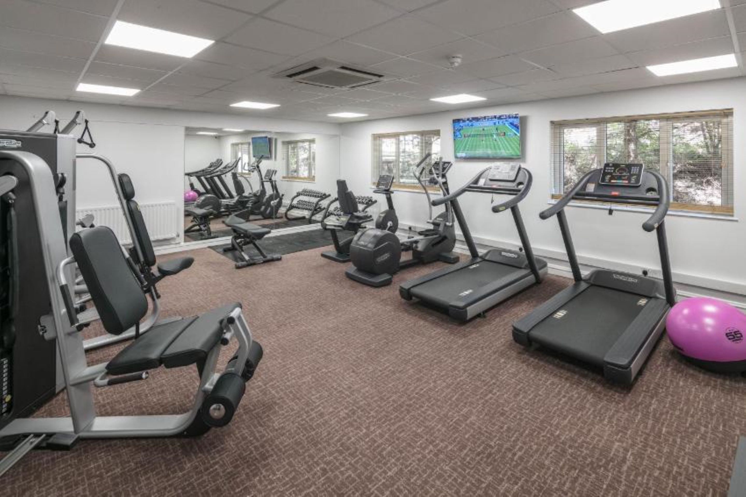 A gym with treadmills, elliptical machines, and weight equipment.