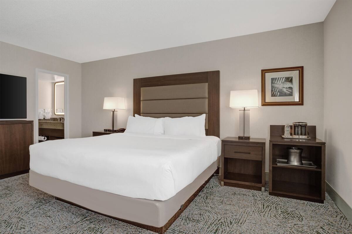 Una habitación de hotel con una cama grande, dos mesitas de noche, un televisor, un cuadro enmarcado y una cafetera sobre una estantería.