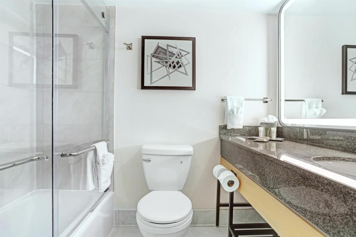 Combined shower/tub, free toiletries, hair dryer, towels