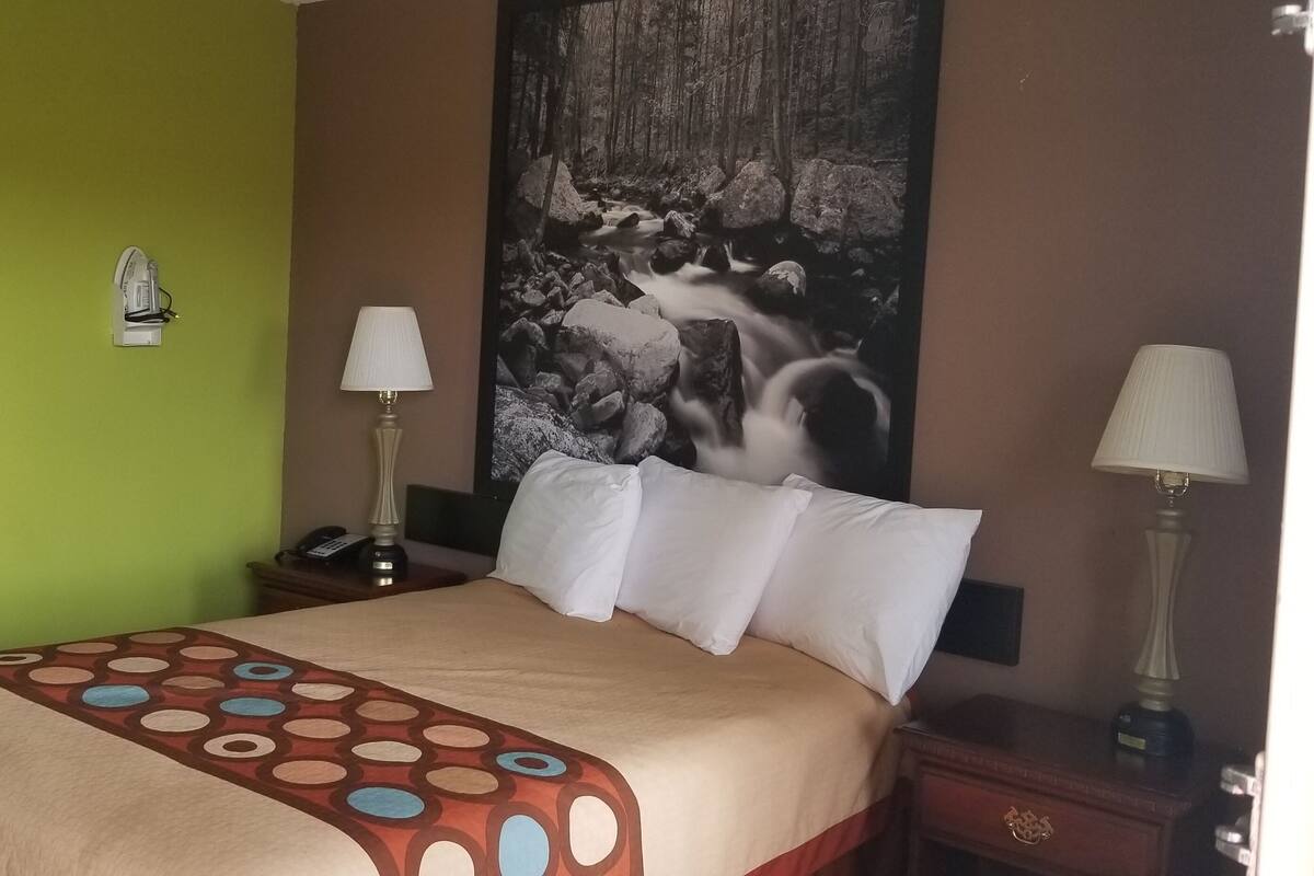 A hotel room with a bed, two bedside lamps, a nightstand, a telephone, and a large forest-themed painting on the wall.
