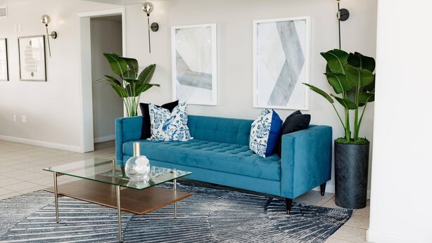 A modern living room with a teal sofa, glass coffee table, and large potted plants. - Quality Inn & Suites Lathrop - South Stockton (Lathrop)