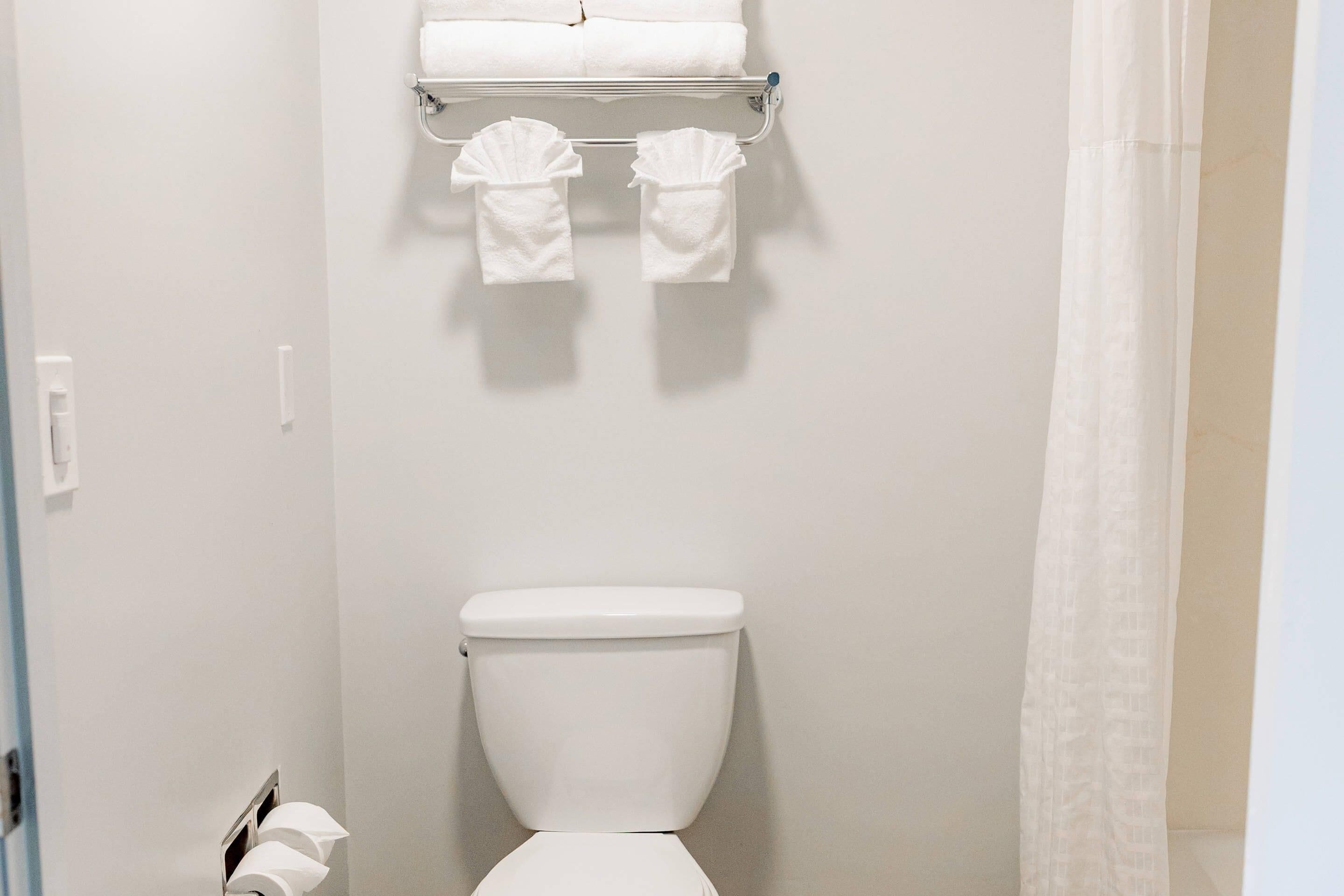 A bathroom with a white toilet, a towel rack with two towels, and a shower curtain.