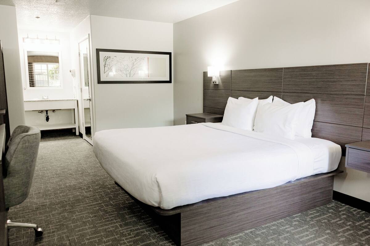 A hotel room with a large bed, a desk, a chair, a nightstand, a wall-mounted lamp, and a framed picture on the wall.