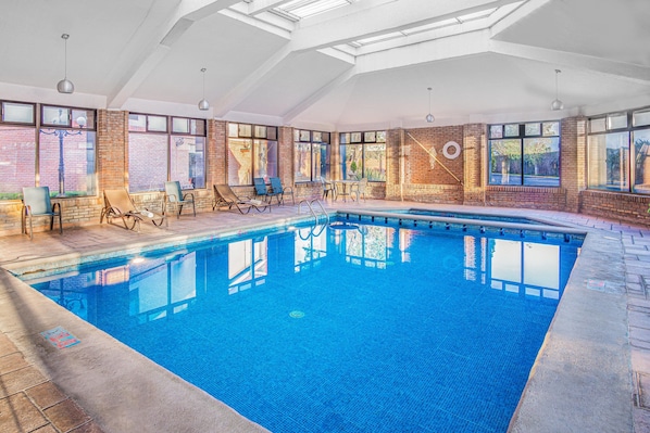 Indoor pool, pool loungers - Four Points by Sheraton Saltillo (Saltillo)