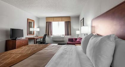 Quality Inn Denver Westminster