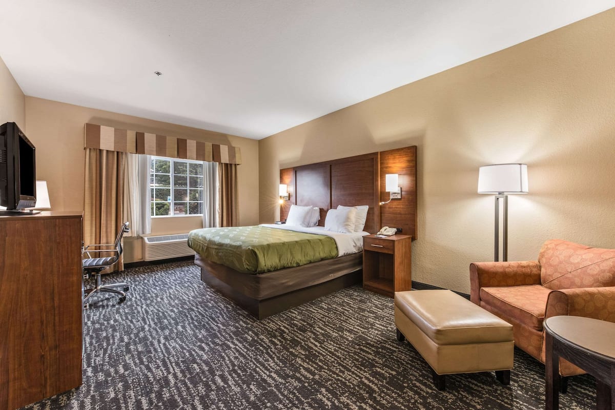 Una habitación de hotel con cama, escritorio, silla, sofá y lámpara.
