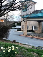 Un Quality Inn & Suites con fachada de ladrillo y techo azul, un estacionamiento y una fila de narcisos en primer plano.