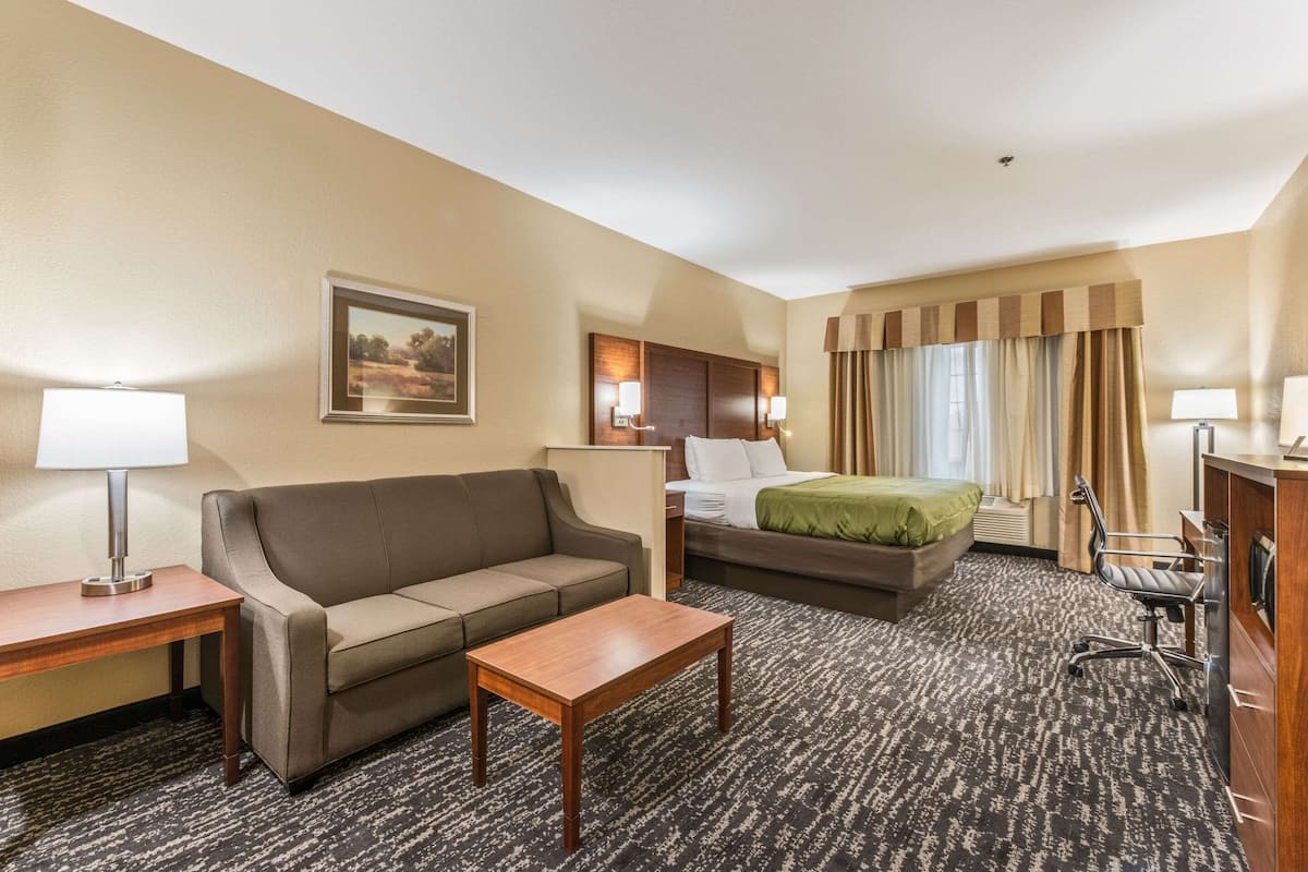 Habitación de hotel con sofá, cama con manta verde, escritorio con lámpara y una silla.