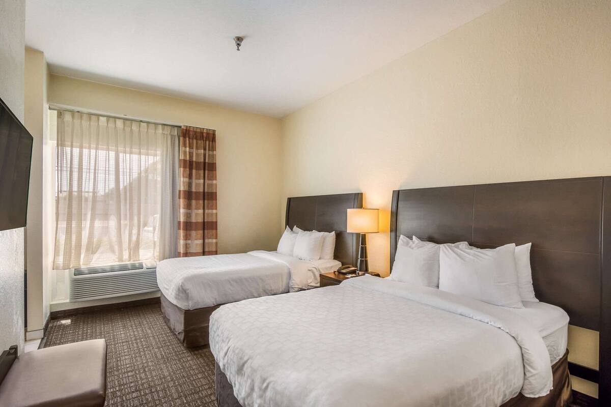 A hotel room with two beds, a window with curtains, a bedside table with a lamp, and a carpeted floor.