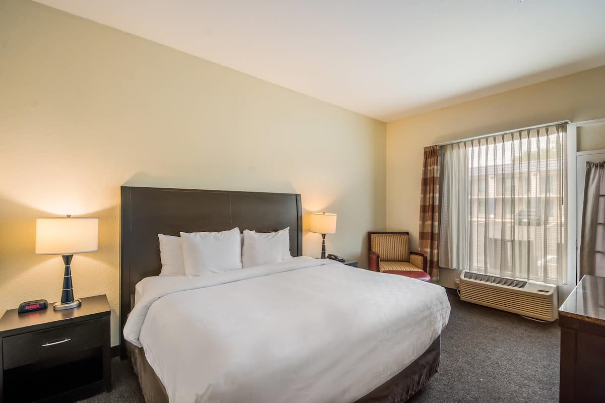 Suite, 1 King Bed with Sofa bed, Non Smoking | Pillowtop beds, in-room safe, desk, iron/ironing board