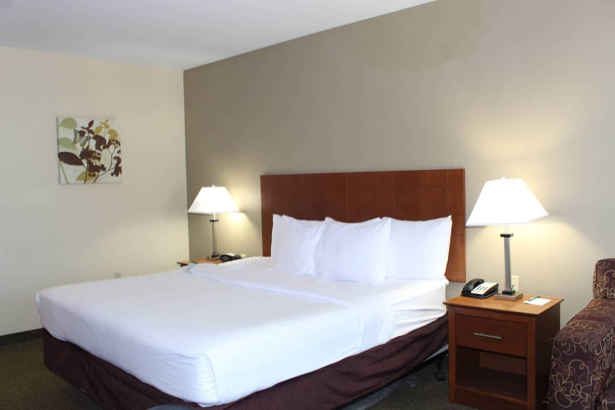 Room, 1 King Bed with Sofa bed, Non Smoking | Premium bedding, pillowtop beds, desk, laptop workspace
