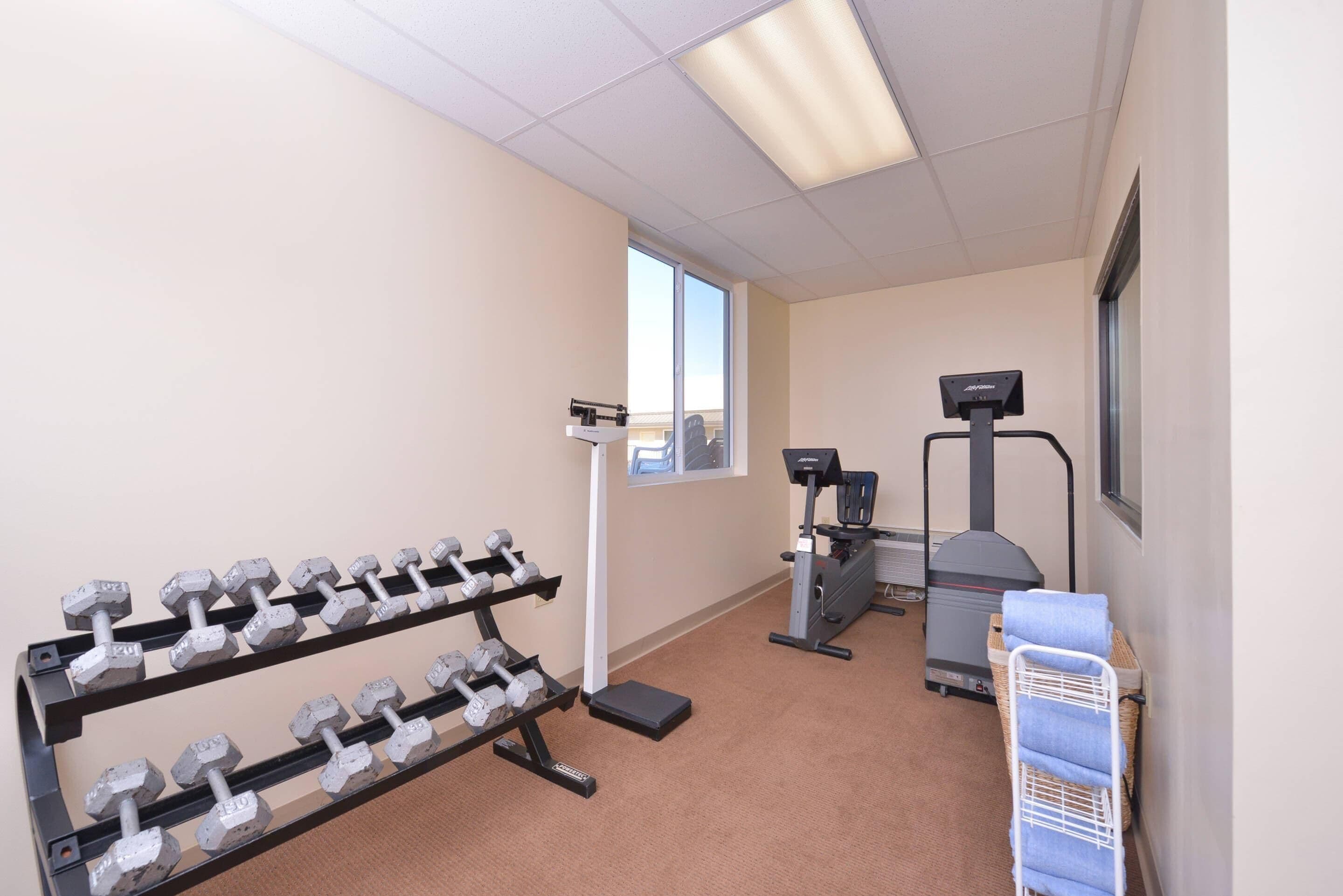 A gym with dumbbells, a treadmill, and a stationary bike.
