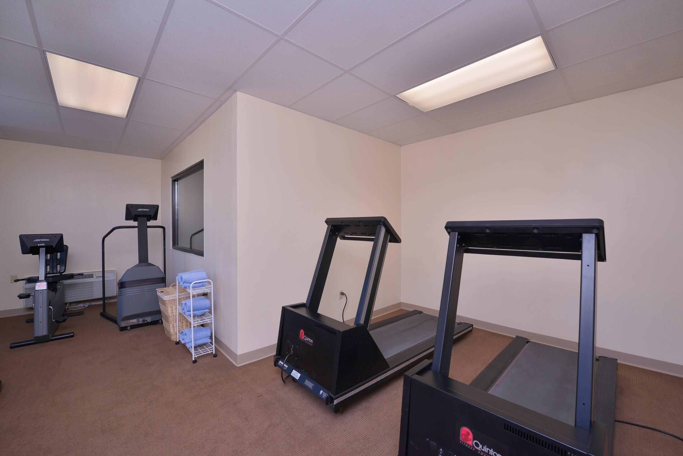 A fitness room with treadmills, a stationary bike, and a rowing machine.