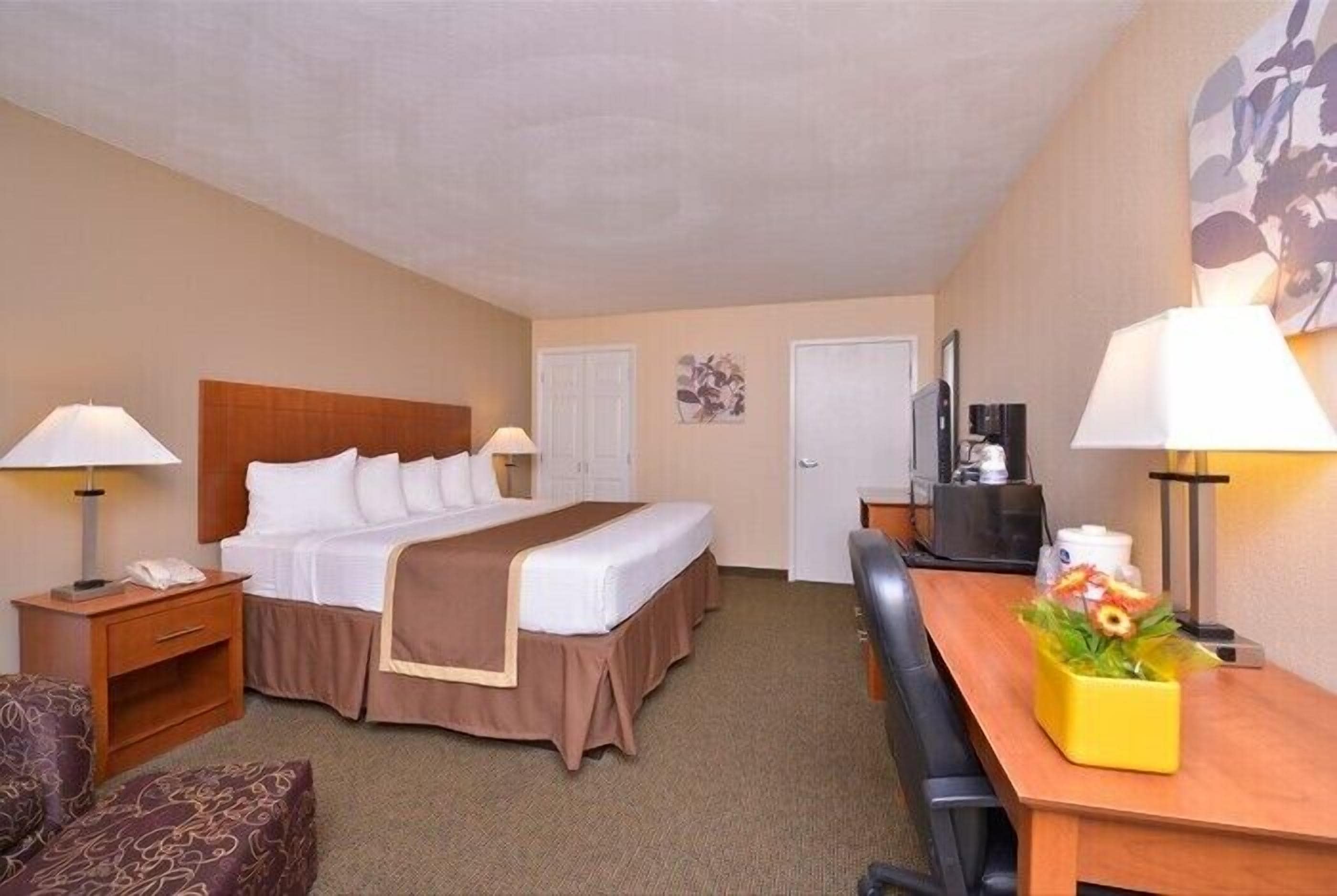 A hotel room with a bed, a desk, a chair, a nightstand, and a lamp.