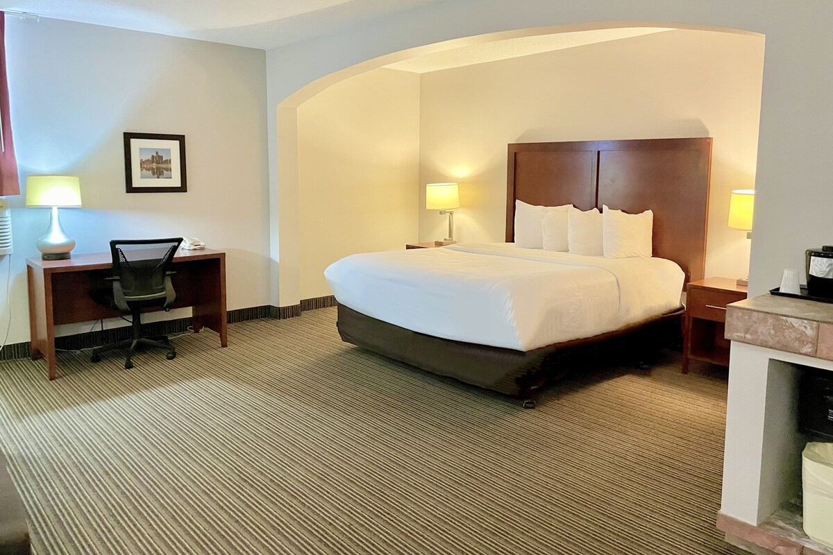 Habitación de hotel con una cama grande, un escritorio con silla, dos lámparas de noche y un cuadro en la pared.