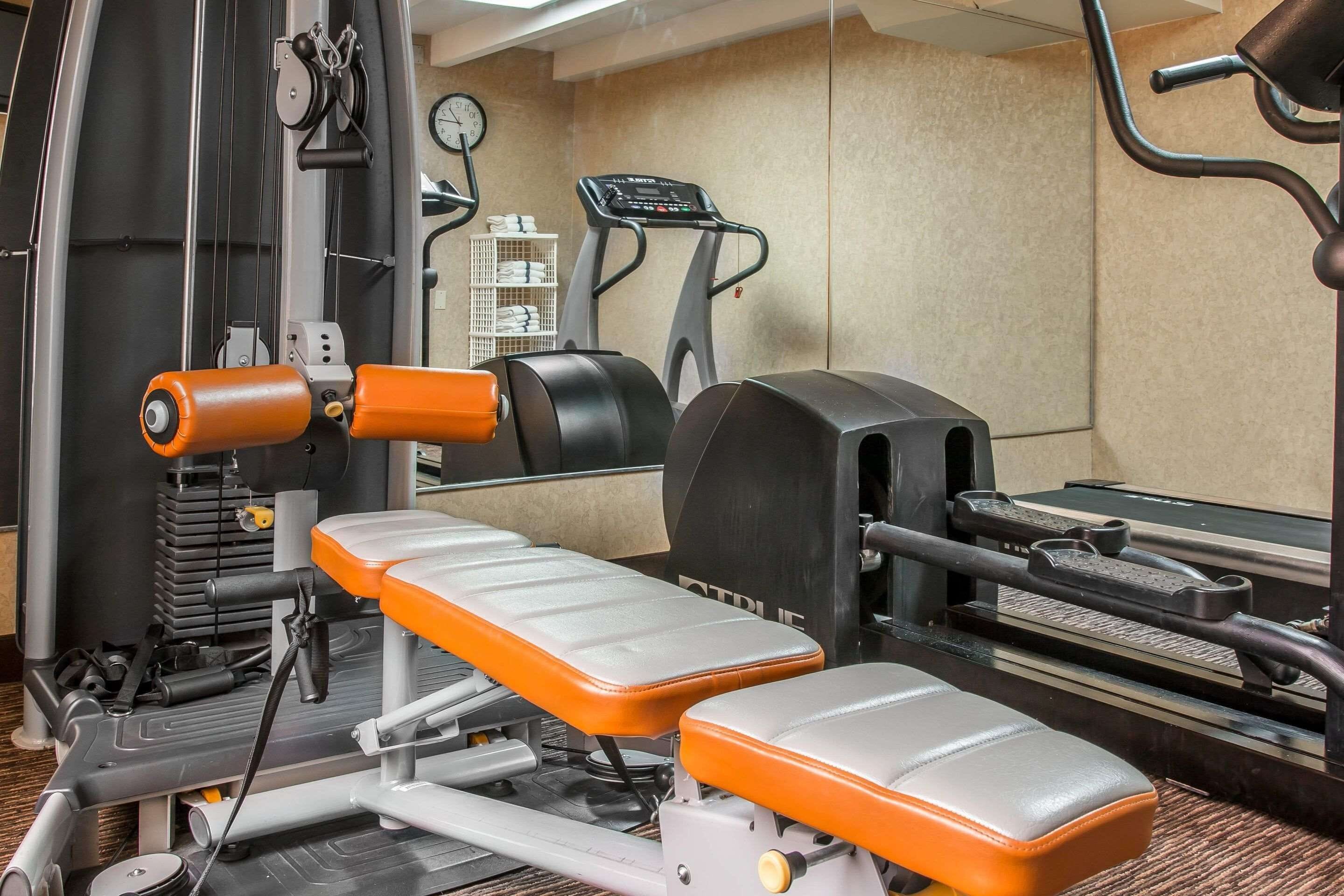 Un gimnasio con equipamiento de ejercicio que incluye una cinta de correr, banco de pesas y varias máquinas.