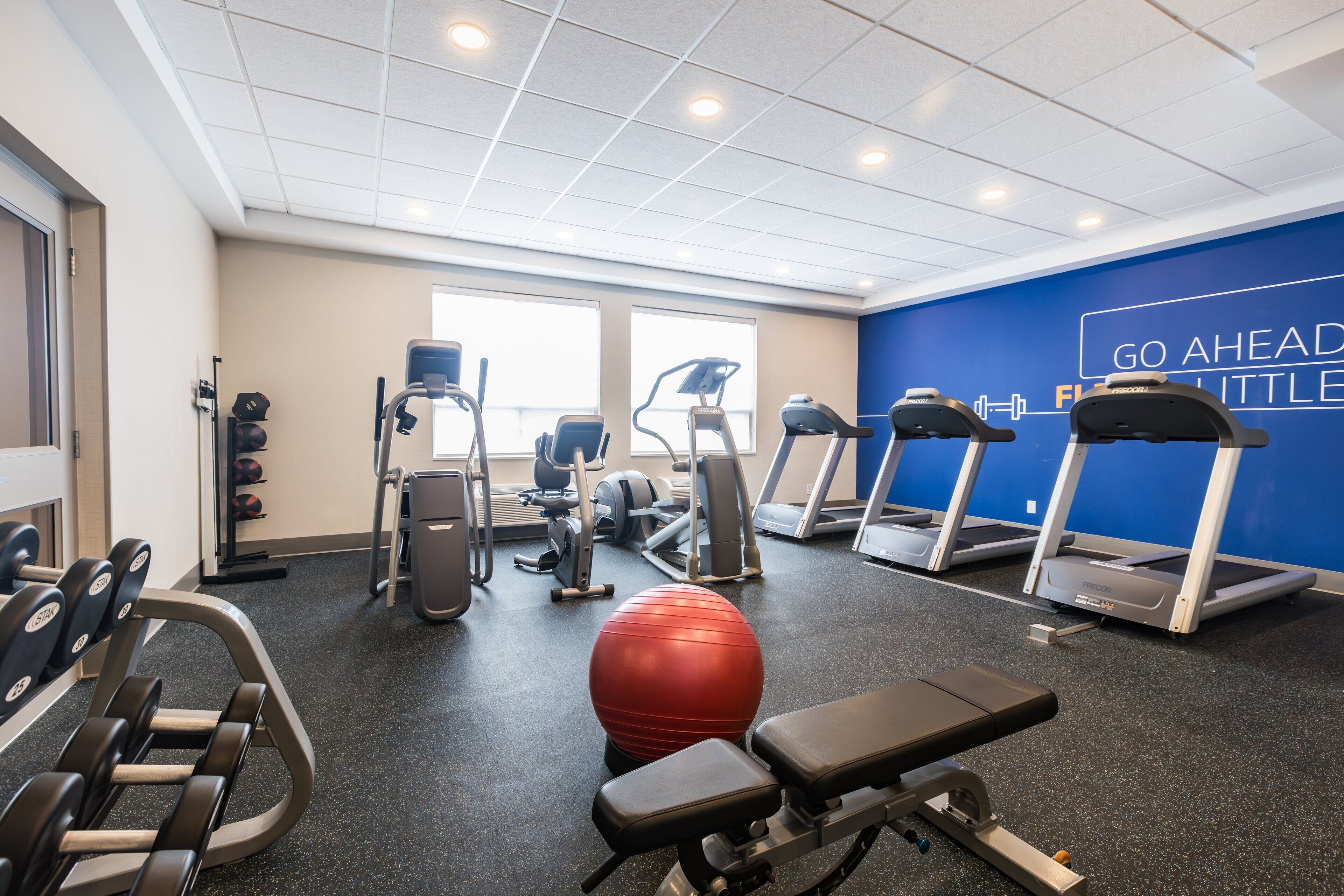 Academia com esteiras, bolas de exercício e aparelhos de musculação.