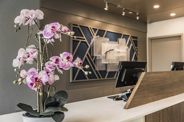 Un mostrador de recepción con una orquídea en maceta al frente.