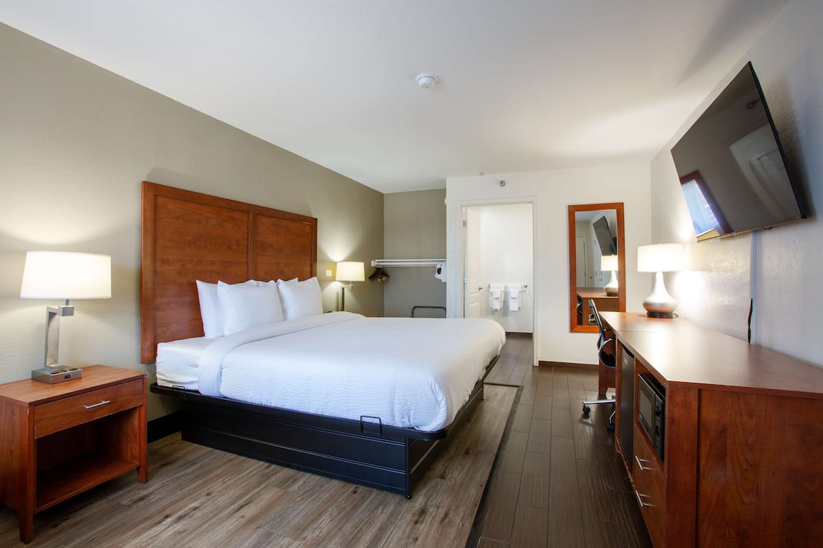 Standard Room, 1 King Bed, Accessible, Non Smoking (with Sofabed) | 1 bedroom, individually furnished, desk, iron/ironing board