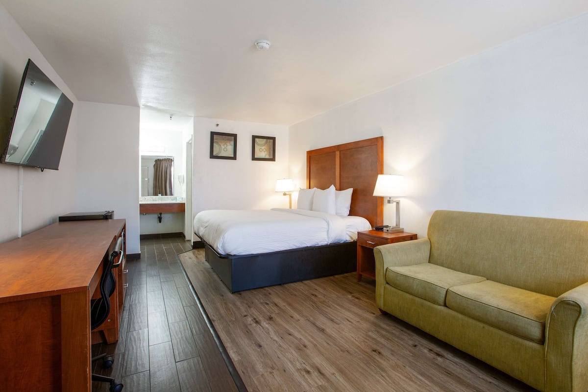 A hotel room with a bed, a sofa, a desk, and a TV.