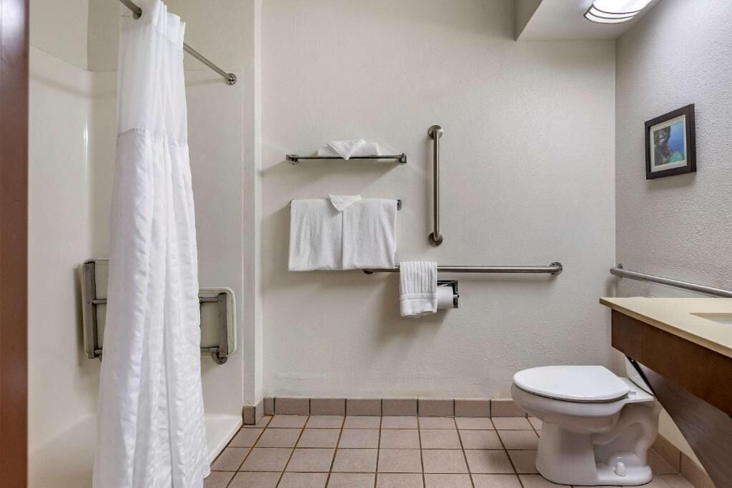 A bathroom with a shower, toilet, and handrails.
