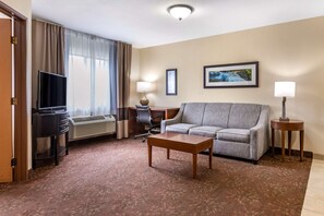 Room, 1 King Bed with Sofa bed, Accessible, Non Smoking