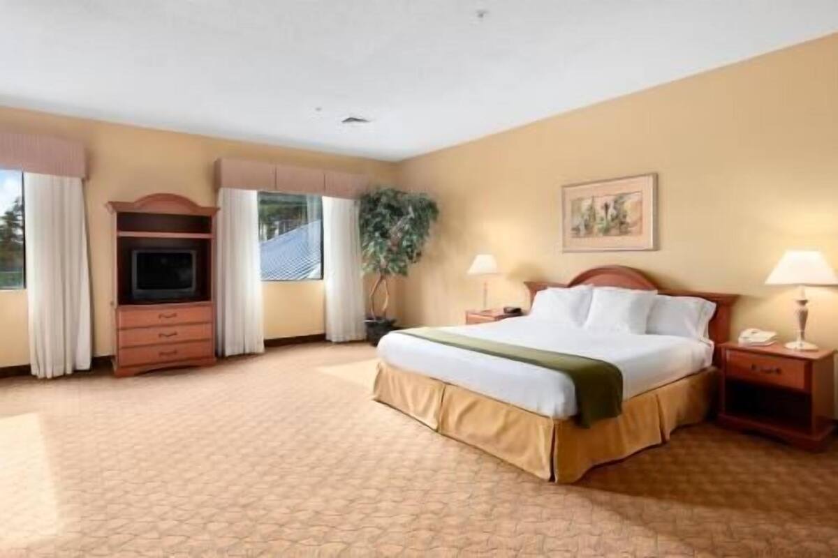 Iron/ironing board, free cribs/infant beds, rollaway beds, free WiFi