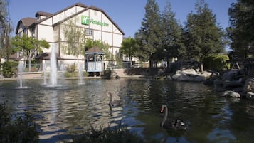Property amenity