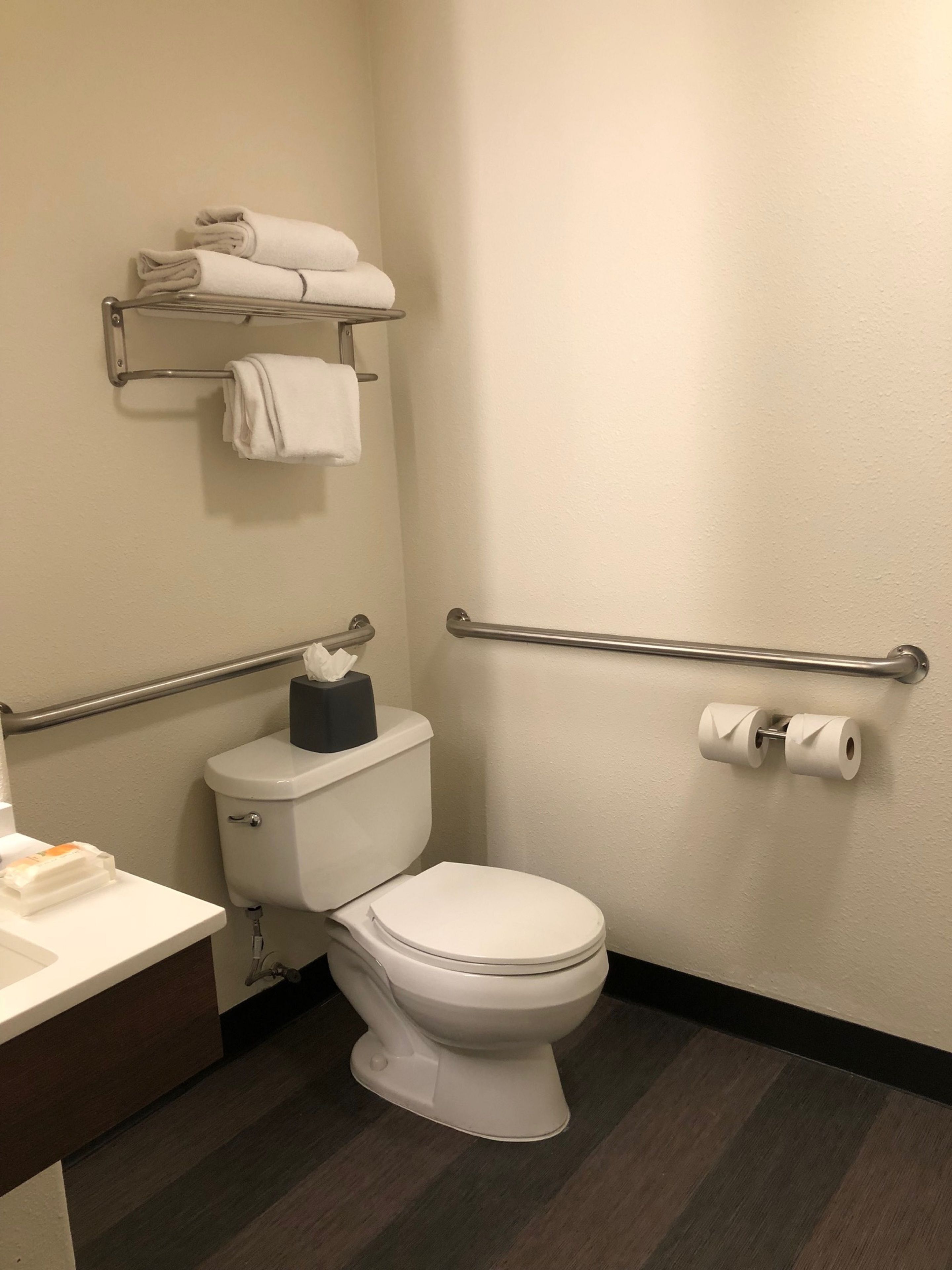 Et standard badeværelse med toilet, håndklæderæk og gelænder.
