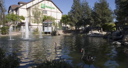 Holiday Inn Selma - Swancourt by IHG