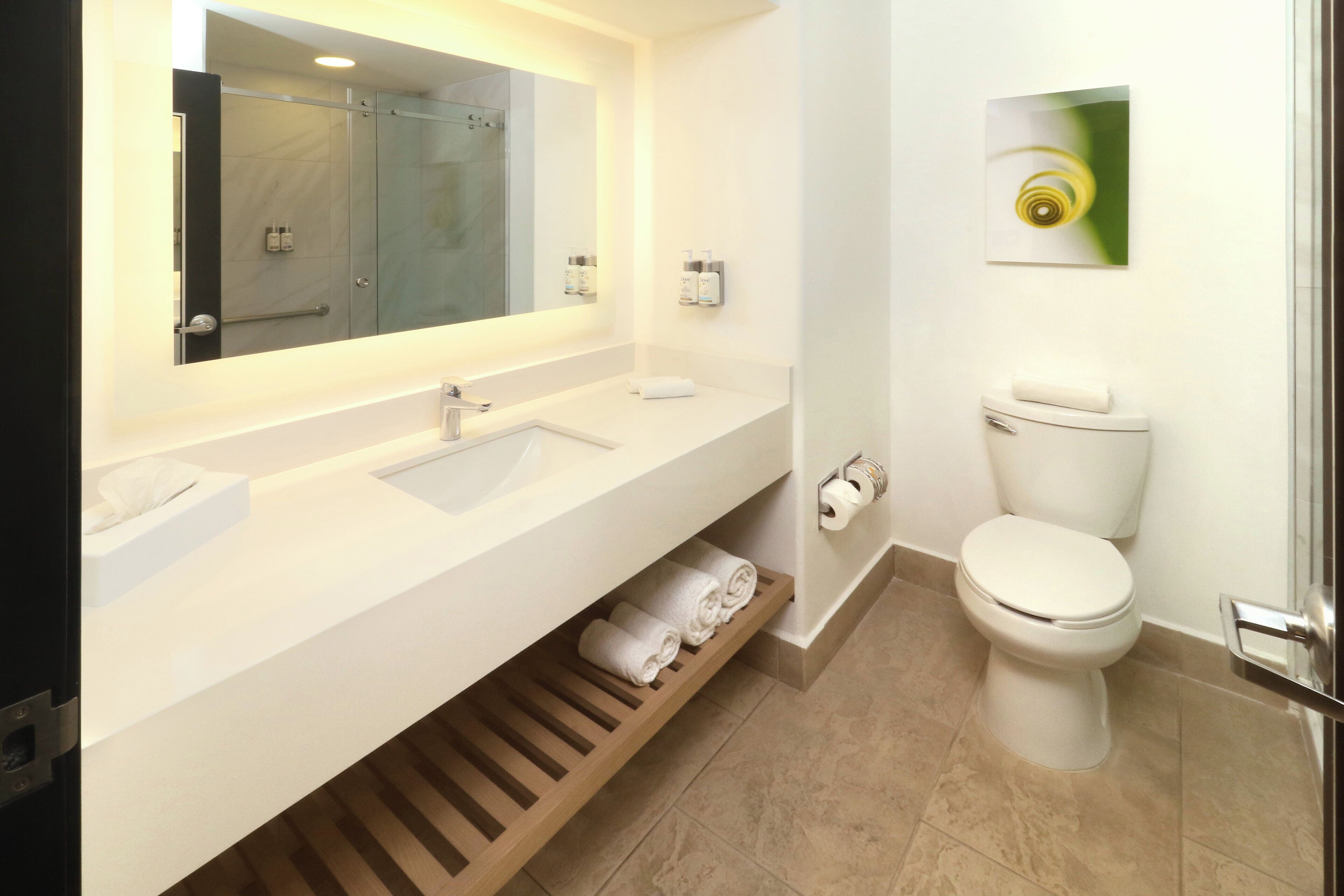 Foto - Holiday Inn Tijuana Zona Rio by IHG